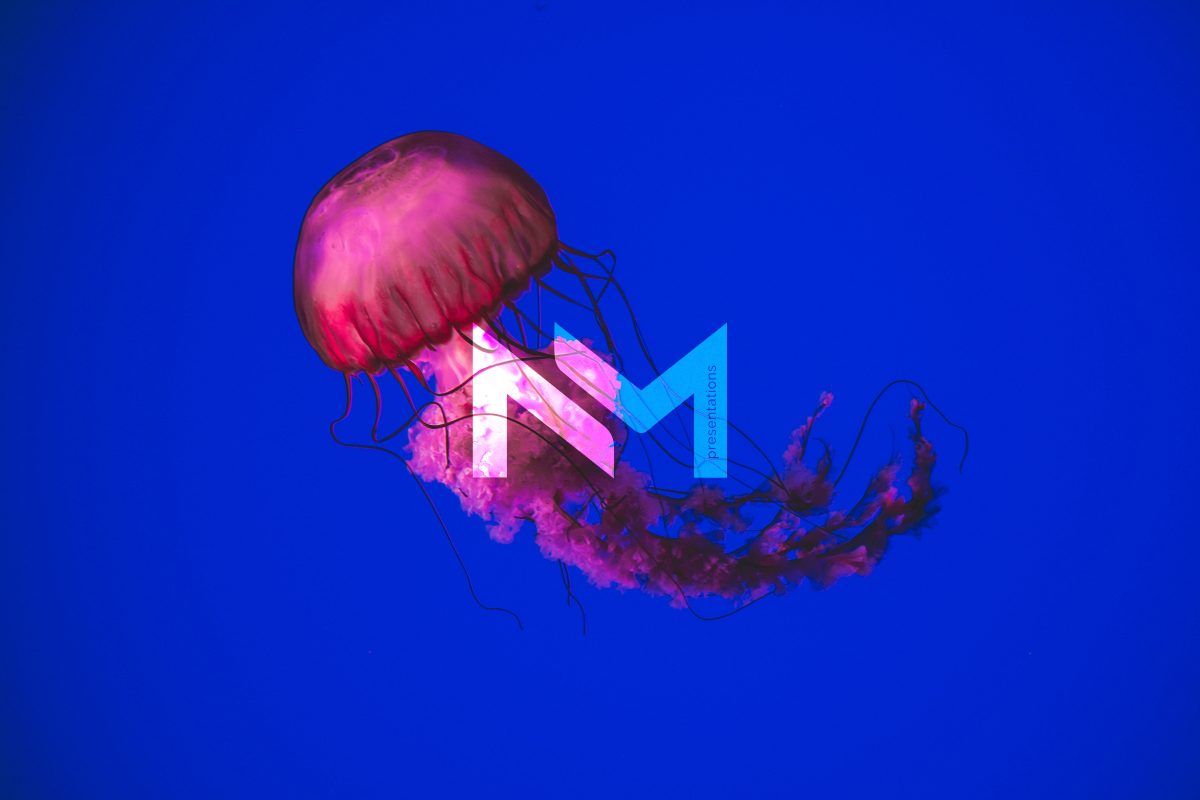 NM